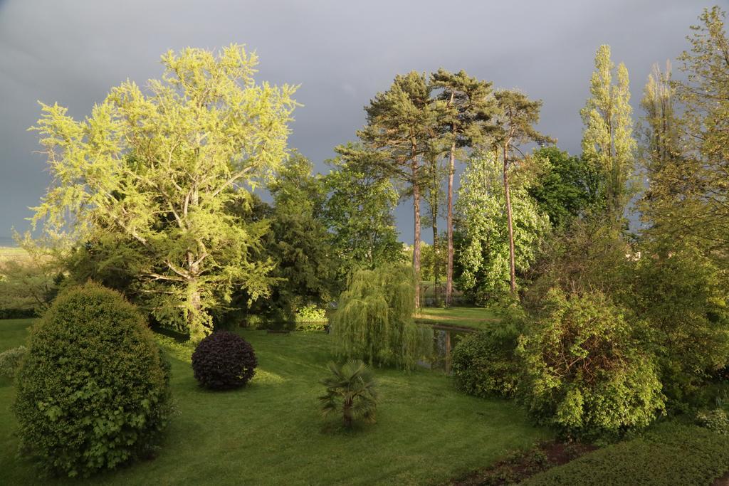 Chateau De La Flechere Bed and Breakfast Blacé Esterno foto