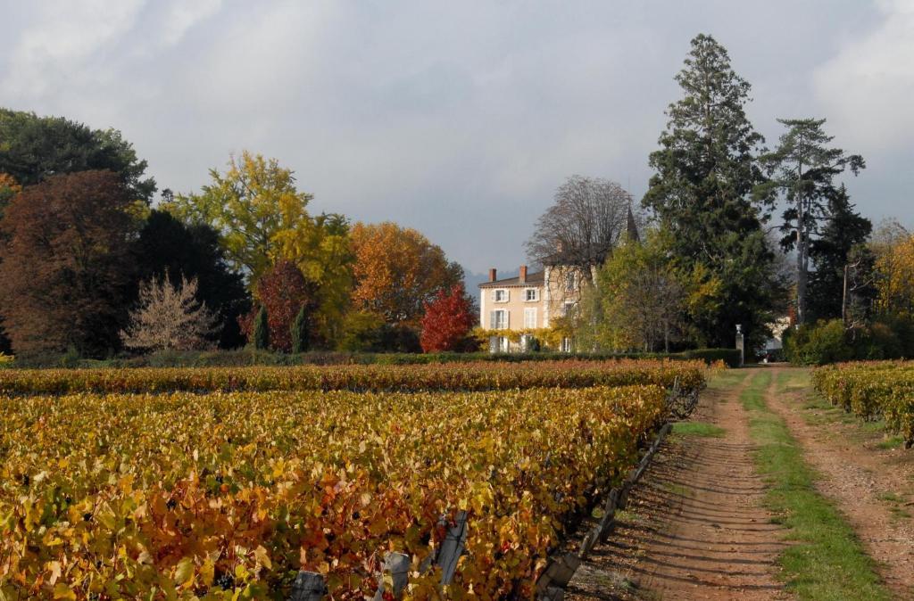 Chateau De La Flechere Bed and Breakfast Blacé Esterno foto